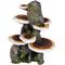 Show in main carousel: Penn-Plax Deco-Replicas Tree Trunk with Shelf Mushrooms Aquarium Decoration Fish Ornament, Medium slide 3 of 10