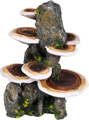 Show full view: Penn-Plax Deco-Replicas Tree Trunk with Shelf Mushrooms Aquarium Decoration Fish Ornament, Medium slide 3 of 10