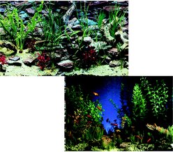 Penn-Plax Double-Sided Aquarium Fish Background, Aquarama/Shalescape
