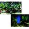 Show in main carousel: Penn-Plax Double-Sided Aquarium Fish Background, Aquarama/Shalescape slide 1 of 2