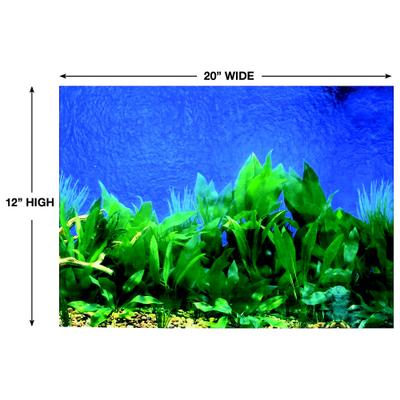 Show full view: Penn-Plax Double-Sided Aquarium Fish Background, Multicolor slide 4 of 9