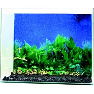 Penn-Plax Double-Sided Aquarium Fish Background, Multicolor