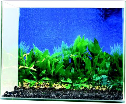 Show full view: Penn-Plax Double-Sided Aquarium Fish Background, Multicolor slide 6 of 9