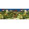 Show in main carousel: Penn-Plax Double-Sided Aquarium Fish Background, Multicolor slide 8 of 9