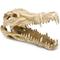 Show in main carousel: Penn-Plax Gator Skull Aquarium Ornament slide 1 of 3