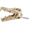 Show in main carousel: Penn-Plax Gator Skull Aquarium Ornament slide 2 of 3