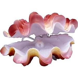 Penn-Plax Giant Clam Aquarium Ornament