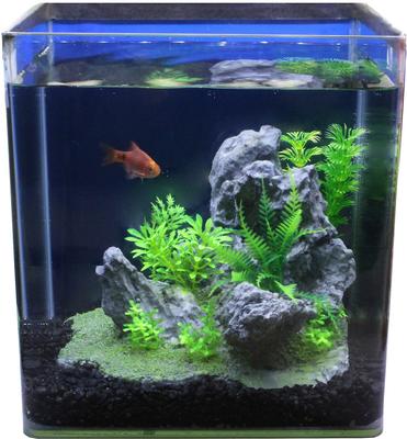 Show full view: Penn-Plax Grey Rock Scape Aquarium Ornament slide 3 of 3