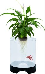 Penn-Plax Large Aquaponic Aquarium Tank, 1.4-gal