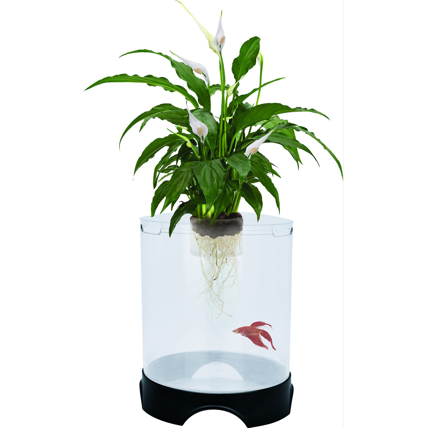 Penn-Plax Large Aquaponic Aquarium Tank, 1.4-gal