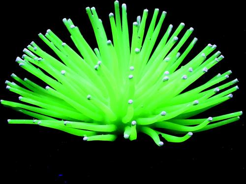 Show full view: Penn-Plax LED Light-Up Silicone Sea Anemone Fish Light Fixture slide 3 of 8