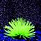 Show in main carousel: Penn-Plax LED Light-Up Silicone Sea Anemone Fish Light Fixture slide 4 of 8