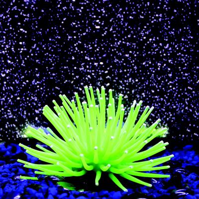 Show full view: Penn-Plax LED Light-Up Silicone Sea Anemone Fish Light Fixture slide 4 of 8