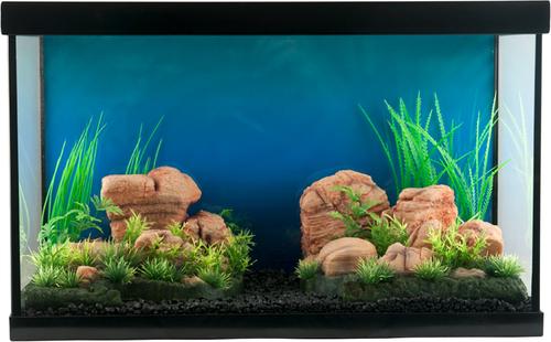 Show full view: Penn-Plax Natural Tank Decor Aquarium Ornament, 2 count slide 3 of 4