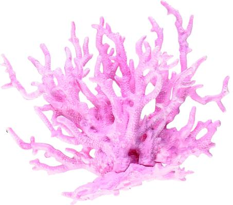 Show full view: Penn-Plax Officially Licensed SpongeBob SquarePants Aquarium Fish Accessories, Multicolor slide 6 of 9