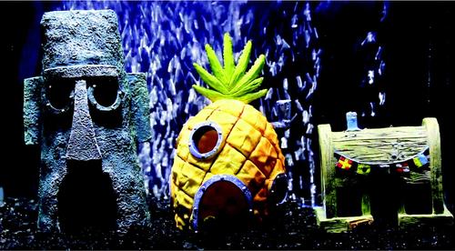 Show full view: Penn-Plax Officially Licensed SpongeBob SquarePants Home Combo Fish Ornament, Multicolor, 3 count slide 2 of 10