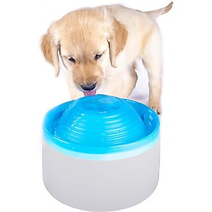 Penn-Plax Pet Water Fountain Cat Waterer, White, 64-oz