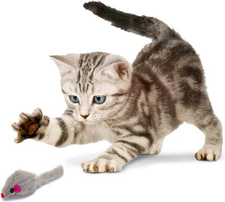 Show full view: Penn-Plax Purr Pet Bag of Mice Cat Toy, Color Varies, 12 count slide 4 of 10