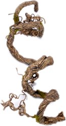 Penn-Plax Reptology Reptile Climber Vine, 5-ft, Brown
