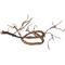 Show in main carousel: Penn-Plax Reptology Reptile Climber Vine, 5-ft, Brown slide 2 of 5