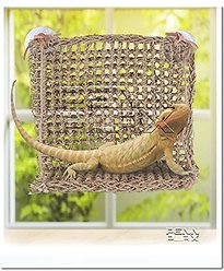 Penn-Plax Reptology Sun-Lover Lizard Lounger slide 2 of 6