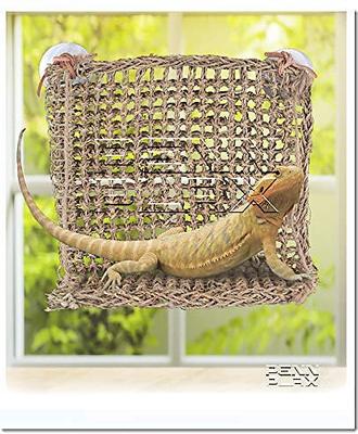 Show full view: Penn-Plax Reptology Sun-Lover Lizard Lounger slide 2 of 7