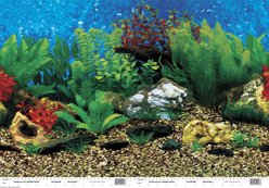 Penn-Plax Shale Wall/Hawaii Blue Double Aquarium Background