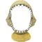 Show in main carousel: Penn-Plax Shark Jaw Aquarium Ornament slide 1 of 3