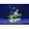Show in main carousel: Penn-Plax Skeleton Treasure Aquarium Ornament slide 3 of 4