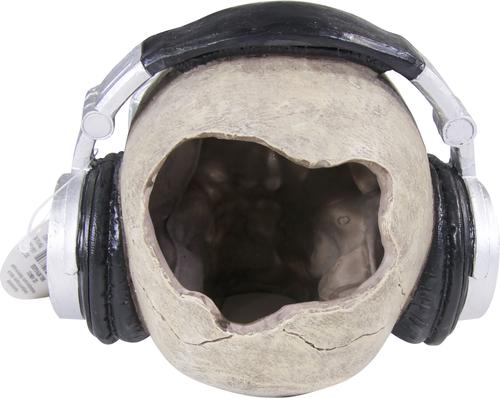 Show full view: Penn-Plax Skull & Glasses Aquarium Ornament slide 5 of 9