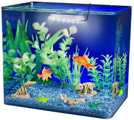 Show full view: Penn-Plax Ultra Bright Mini LED Aquarium Light slide 5 of 7