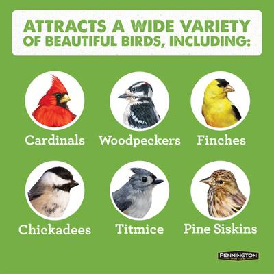 Show full view: Pennington Cedar Chalet Bird Feeder slide 6 of 7