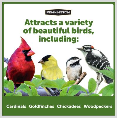 Show full view: Pennington Cedar Grand Snack Shack Bird Feeder slide 7 of 10