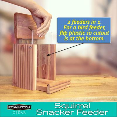 Show full view: Pennington Cedar Squirrel Snacker Feeder slide 6 of 12