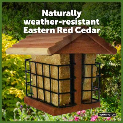 Show full view: Pennington Cedar Suet Station Bird Feeder slide 4 of 12