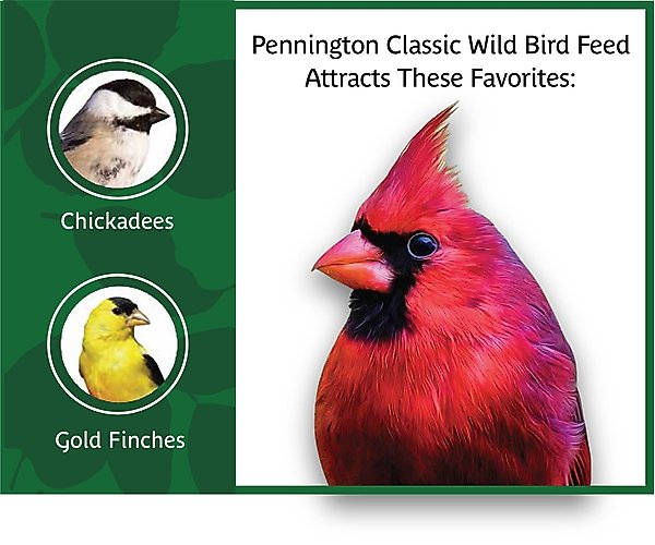 Show full view: Pennington Classic Wild Bird Food, 40-lb bag slide 5 of 12