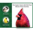Show in main carousel: Pennington Classic Wild Bird Food, 40-lb bag slide 5 of 12