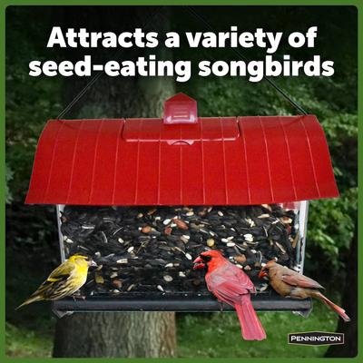 Show full view: Pennington Country Barn Bird Feeder slide 6 of 9