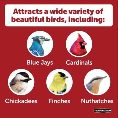 Show full view: Pennington Earth Smart Recycled Ecozebo Bird Feeder, Green slide 4 of 9