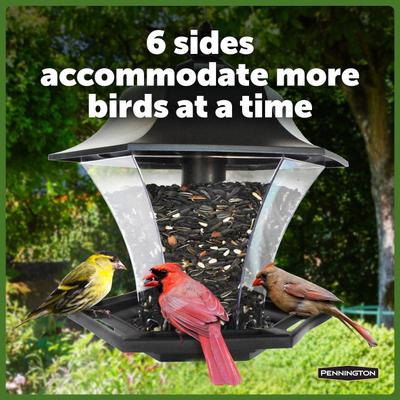 Show full view: Pennington Garden Coach Light Bird Feeder slide 4 of 10