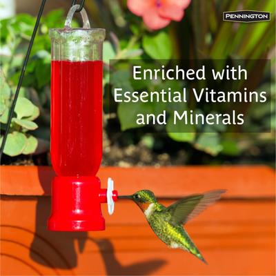 Show full view: Pennington Natural Springs Hummingbird Nectar Concentrate, 16-fl oz bottle slide 4 of 10