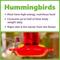 Show in main carousel: Pennington Natural Springs Hummingbird Nectar Concentrate, 16-fl oz bottle slide 7 of 10