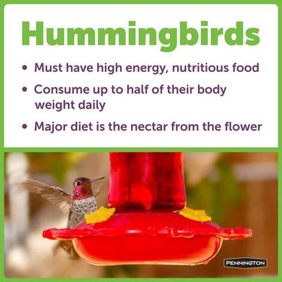 Show full view: Pennington Natural Springs Hummingbird Nectar Concentrate, 16-fl oz bottle slide 7 of 10