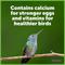 Show in main carousel: Pennington Natural Springs Hummingbird Nectar Concentrate, 16-fl oz bottle slide 6 of 10