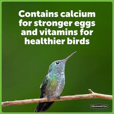 Show full view: Pennington Natural Springs Hummingbird Nectar Concentrate, 16-fl oz bottle slide 6 of 10