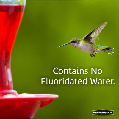 Show full view: Pennington Natural Springs Ready To Use Hummingbird Nectar, 64-oz bottle slide 5 of 11