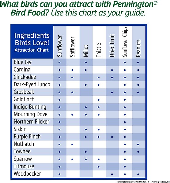 Show full view: Pennington Premium Select Blend Bird Food, 20-lb bag slide 8 of 12