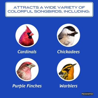 Show full view: Pennington Premium Select Blend Bird Food, 20-lb bag slide 5 of 12