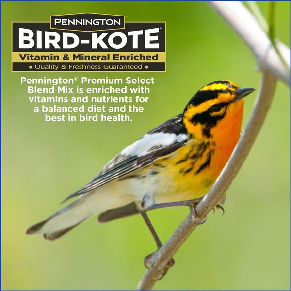 Show full view: Pennington Premium Select Blend Bird Food, 20-lb bag slide 7 of 12