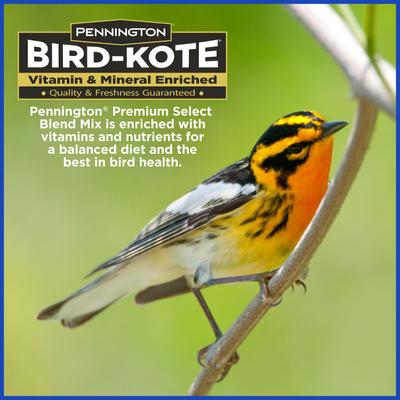 Show full view: Pennington Premium Select Blend Bird Food, 20-lb bag slide 7 of 12